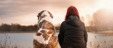 Veterinary telemedicine firm Dutch partners Synchrony on pet insurance