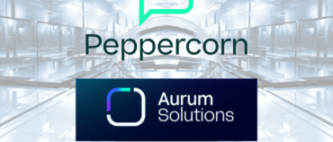 Peppercorn AI arbeitet mit Aurum Solutions zusammen, um die Skalierbarkeit voranzutreiben | Insurtech-Einblicke